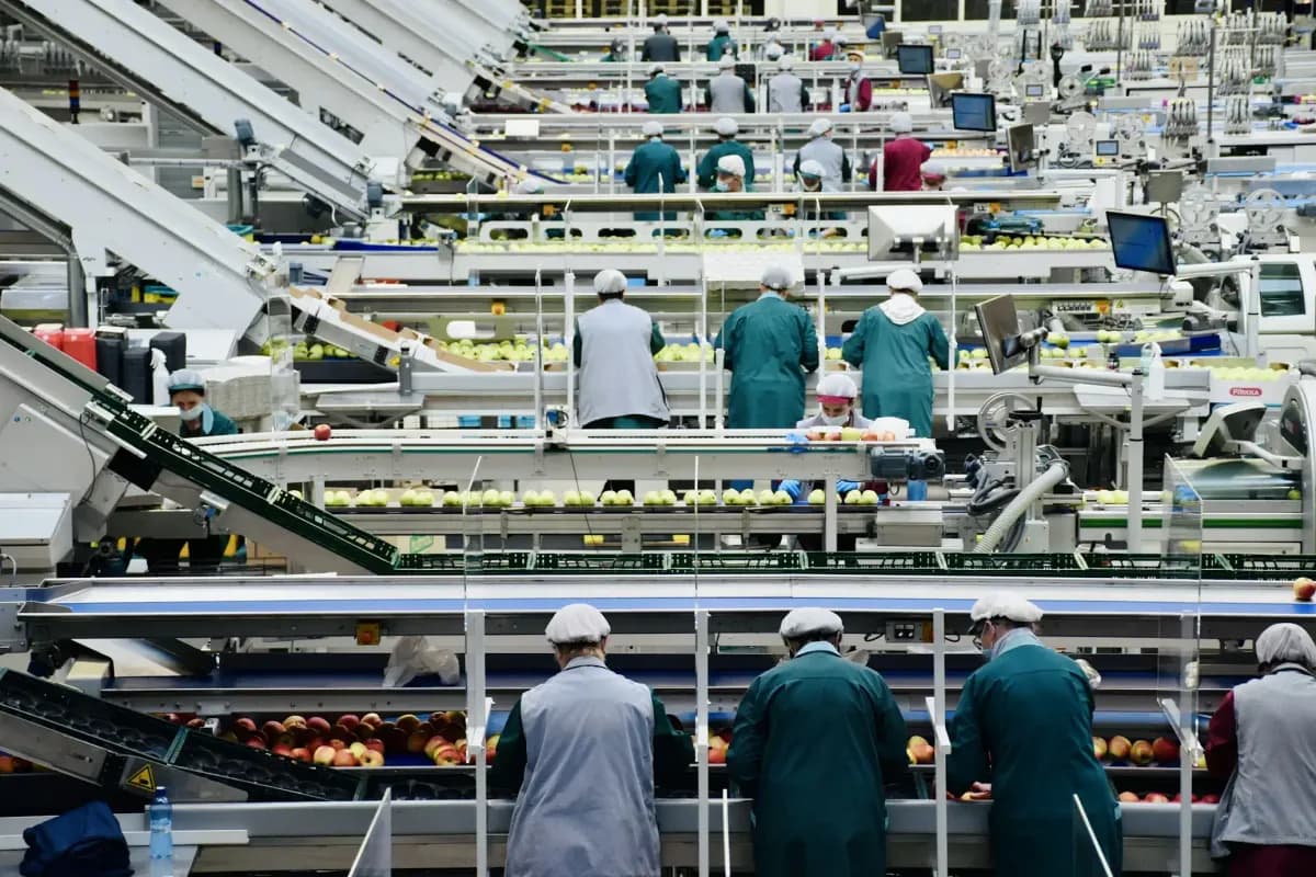Manufacturing Solutions